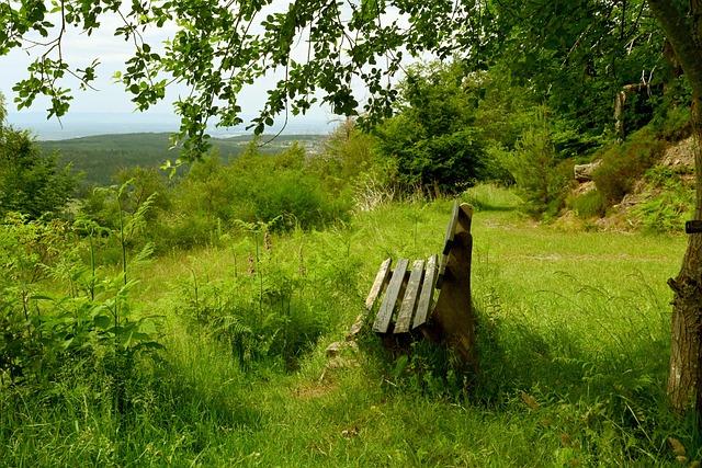 尽管目前皇 尽管目前皇