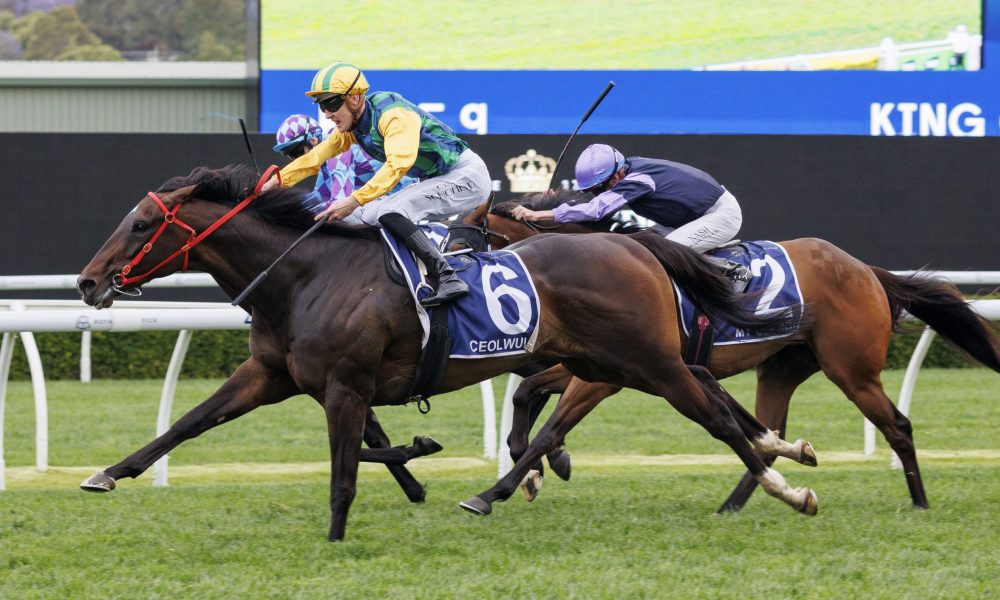 篮球旅程 篮球旅程